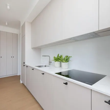 公寓 Luxury Two-bedroom With A Balcony In By Renters Prestige